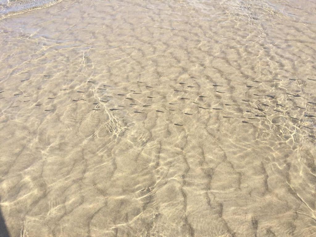 Perla Blu Marzamemi Villa Esterno foto